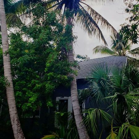 Old Cottage House Miami Luaran gambar