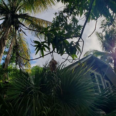 Old Cottage House Miami Luaran gambar