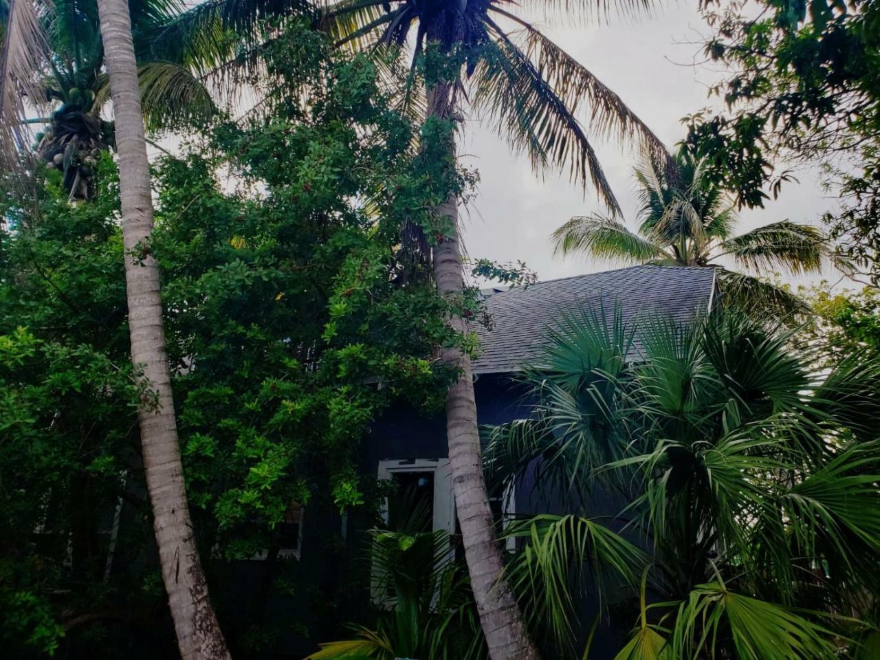 Old Cottage House Miami Luaran gambar